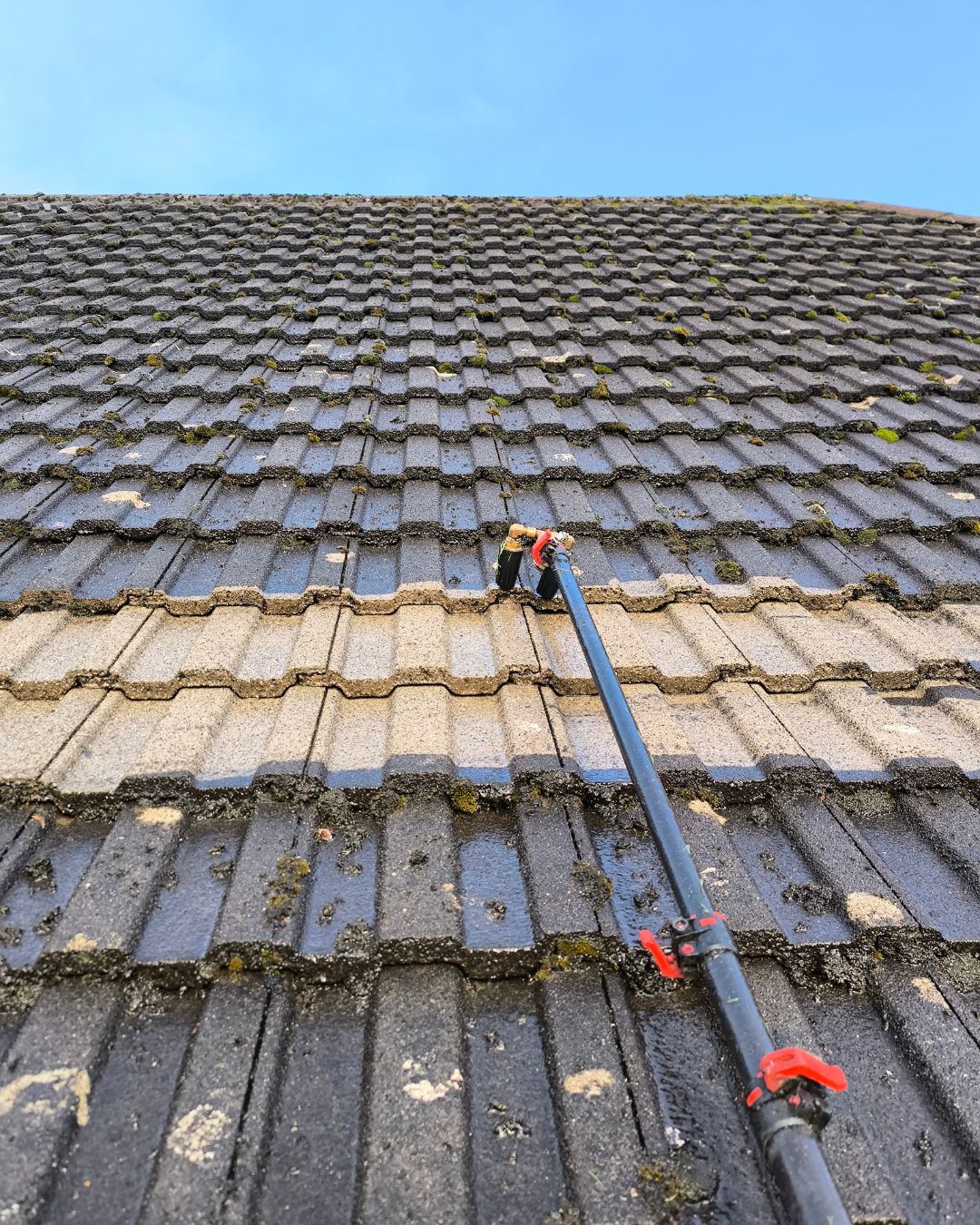 Cleaning a roof with light pressure