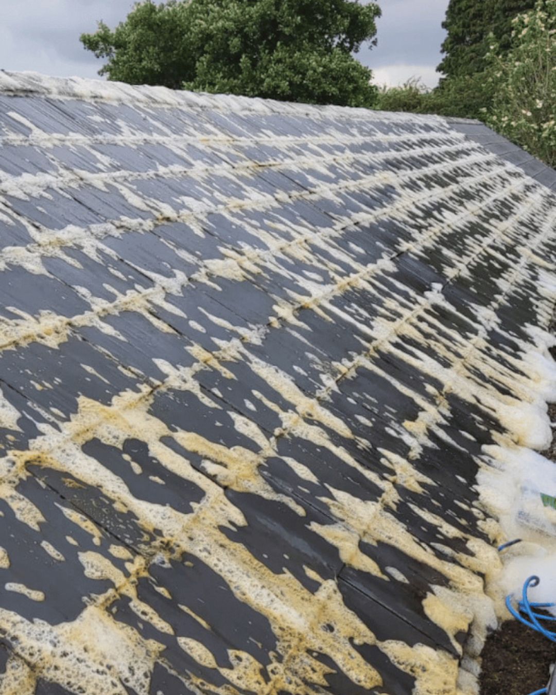 Roof Softwashing