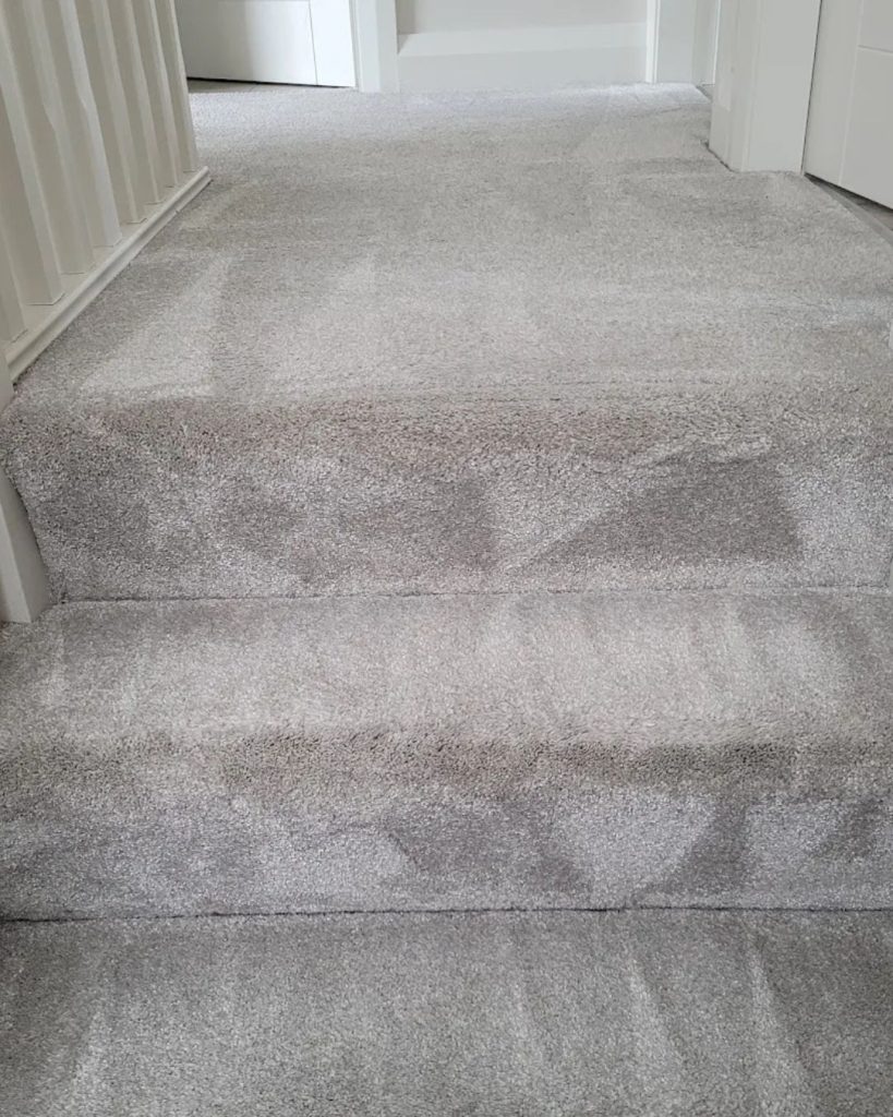 carpet cleaning