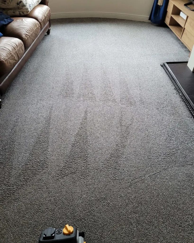 dry off carpets after cleaning