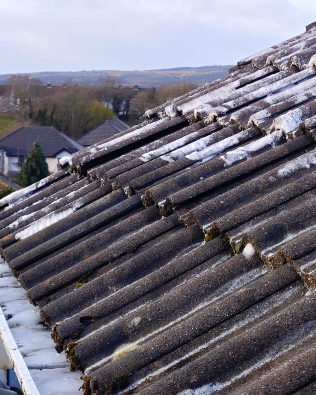 roof clean soft wash with biocide