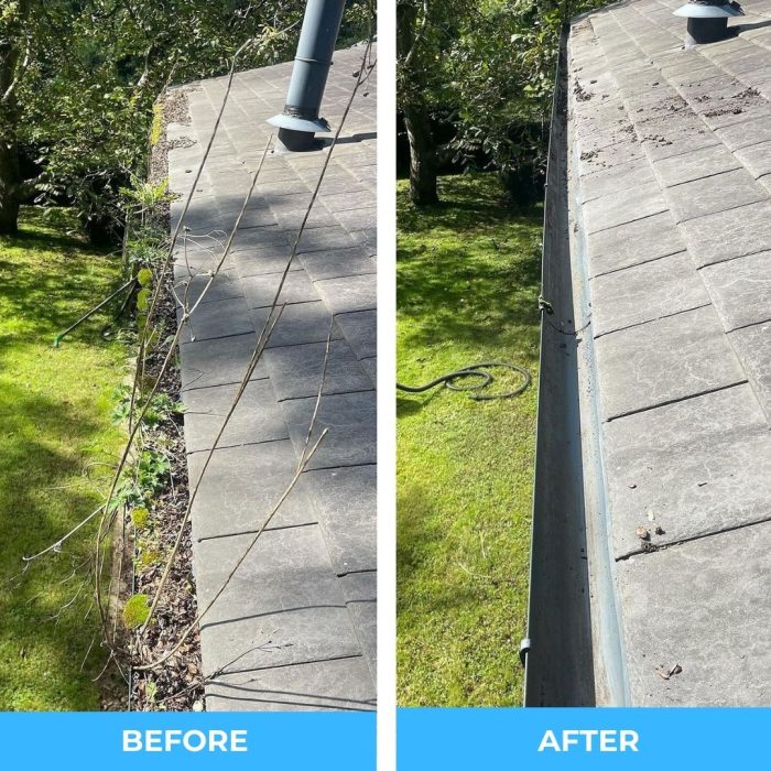 gutter-cleaning